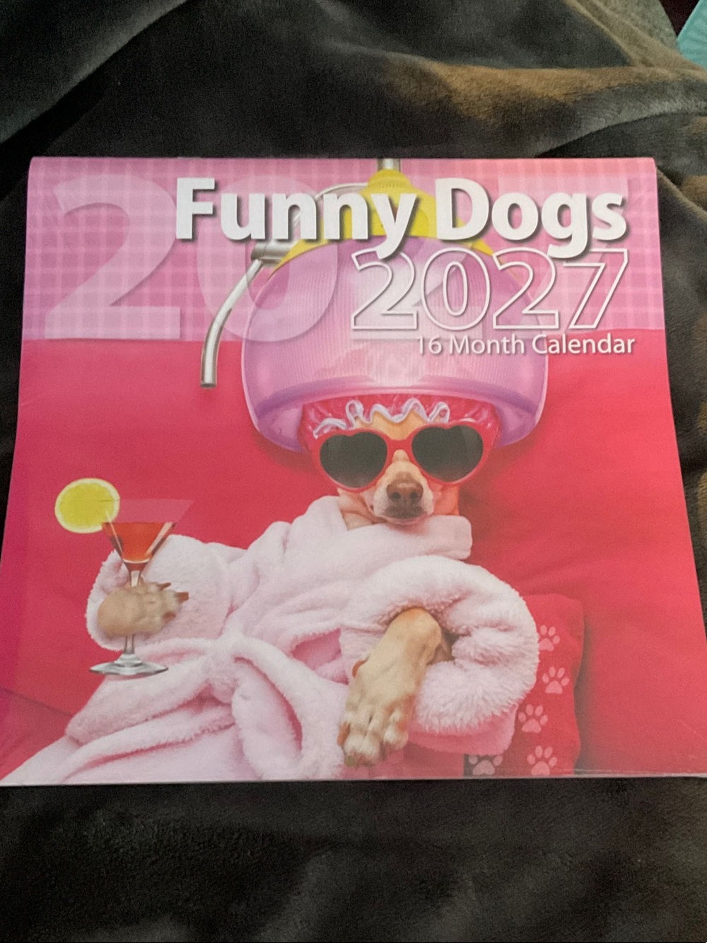 Funny Dogs 2027 Pink Wall Calendar